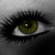 :iconlillylollypop1: