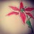 Lillypad135 :iconlillypad135: