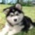 :iconlilmargi: