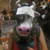 :iconlilmil91: