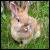 :iconlilmiss168:
