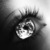 :iconlilmissantisocial: