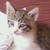 :iconlilnathy23: