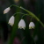 :iconlilnemo6-9: