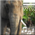 :iconlilpastshadow: