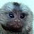 :iconlilryoko: