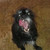 :iconlilschmoopie:
