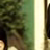 :iconlilshoes:
