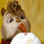 :iconlilsquirrel: