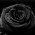 :iconlilsugarangel:
