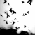 :iconliltinggrace: