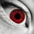 :iconliltritter:
