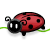 :iconlilu21: