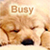 :iconlilwolf: