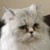 :iconlilwriter2: