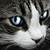 :iconlily-luna-potterxd: