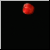 :iconlily-thium: