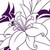 :iconlily253820: