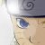 :iconlilya-laurel: