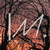 :iconlilya-m: