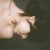 :iconlilyanareyes: