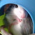 :iconlilyariadne: