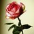 :iconlilyblossom4: