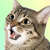 :iconlilybreeze27: