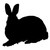 :iconlilylackluster: