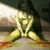 :iconlilylonka: