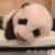 :iconlilyofthevalley0105: