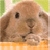 :iconlilyqin: