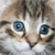:iconlilystar830: