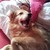 :iconlilythehorsegal: