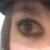 :iconlilyvore: