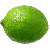 :iconlimefruitplz: