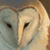 :iconlimegreenbean10: