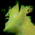:iconlimemilk: