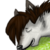 :iconlimemutt: