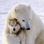 :iconlimitlessdepths: