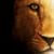 :iconlince90: