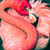 :iconlincepin: