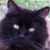 :iconlinda-rose: