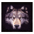 :iconlinda-shiny-star: