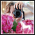 :iconlindachanphotography: