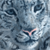 :iconlindalet: