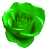 :iconlindenrose: