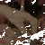 :iconLindori: