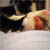 :iconlindorie-chan: