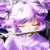 :iconlindorkugel: